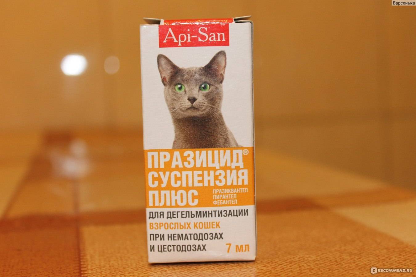О препарате празицид суспензия плюс | апиценна