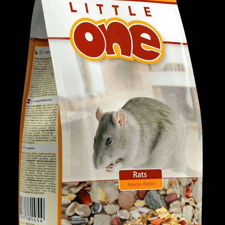 Аксессуары для крысы: что купить первым делом? подробный чек-лист