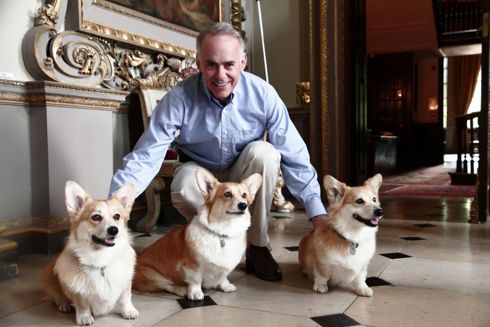Все о корги королевы англии: сколько собак имеется и как живут