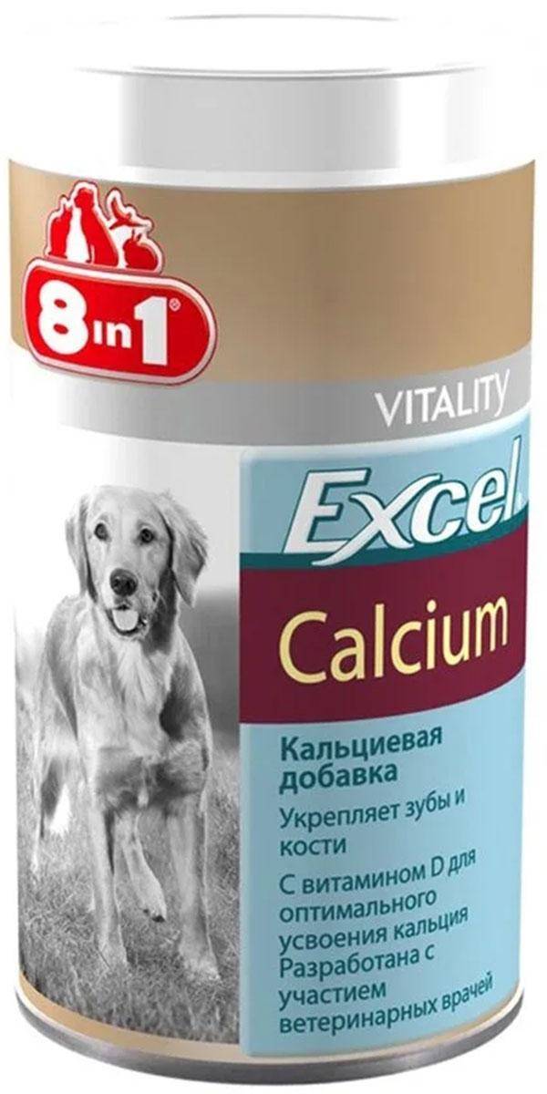 Витамины для собак: топ-10 и рекомендации по выбору