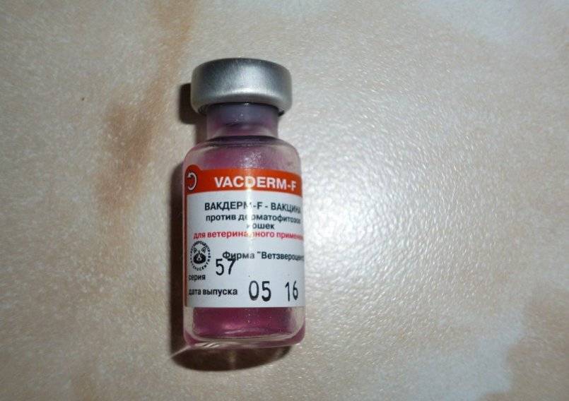 Вакцина для собак, кошек, пушных зверей и кроликов микродерм против дерматофитозов, 4 ампулы