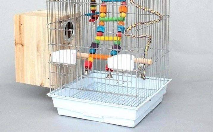 Клетка для волнистого попугая: выбор, размер, как сделать своими руками