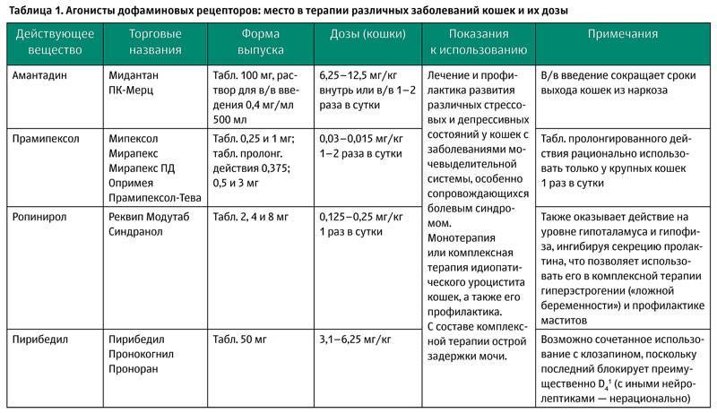 Инфекционные болезни собак и кошек. Вирусные болезни кошек таблица. Болезни кошек симптомы таблица инфекции. Таблица симптомов кошачьих инфекций. Таблица болезни собак.