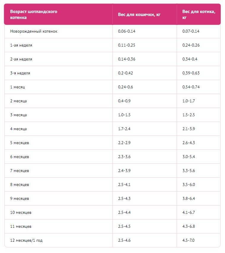 Таблица веса котят по месяцам: от рождения до года