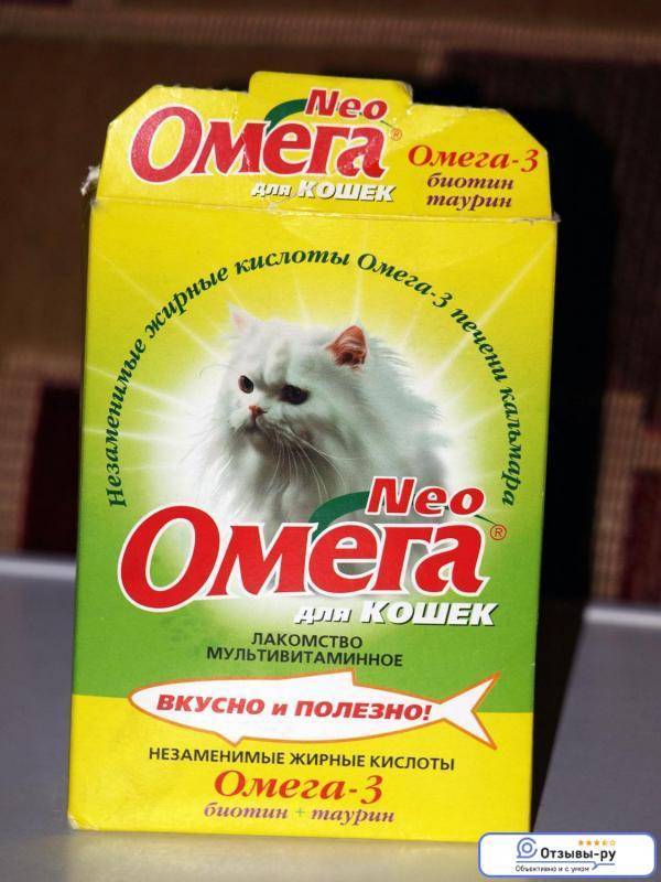 Витамины для старых кошек - обзор лучших препаратов с описанием