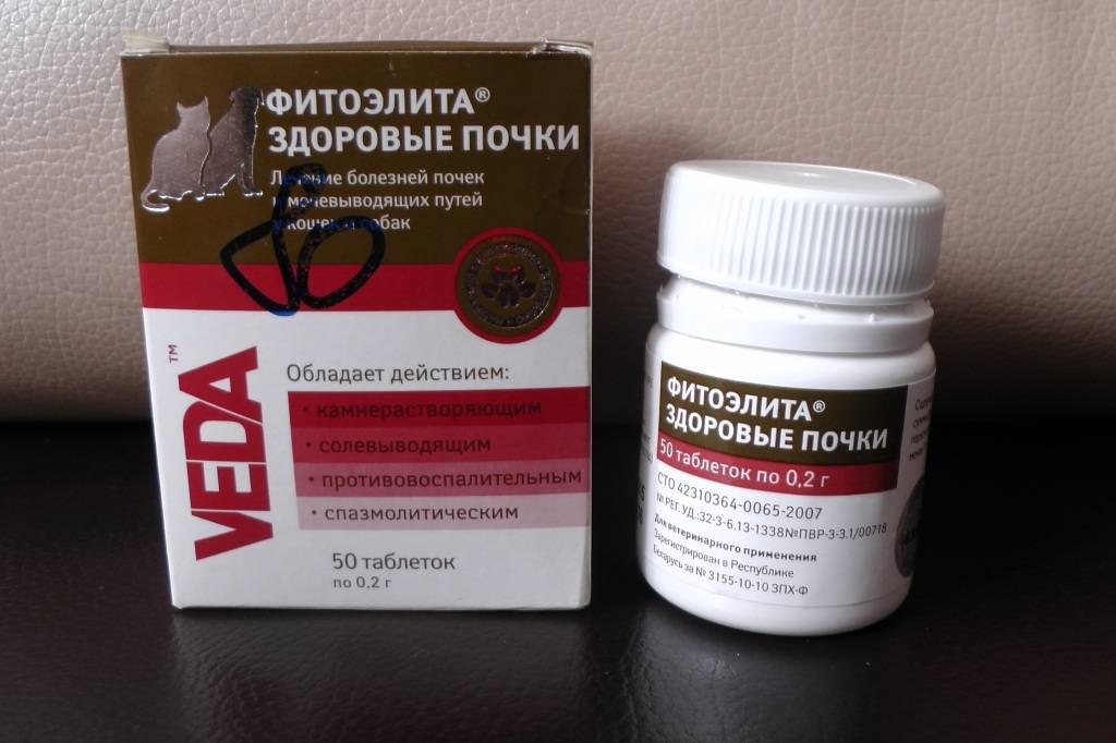 Препарат для собак ceva галастоп для лечения ложной беремен. и подавления лактации у сук (60 г, 15 мл) - цена, купить онлайн в москве, интернет-магазин зоотоваров - все аптеки