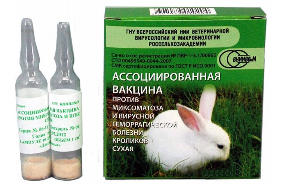 Вакцина для кроликов от миксоматоза и вирусной геморрагической болезни: инструкция по применению - вет-препараты