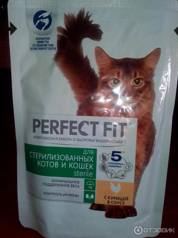 Корм для кошек perfect fit (перфект фит): виды, состав, отзывы