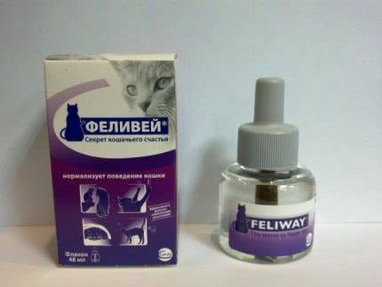 Препарат феливей: помощь в коррекции поведения кошки - petsguide