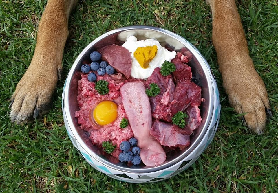 Корм для кормящих собак: чем кормить беременную, ощенившуюся и после родов чтобы было больше молока