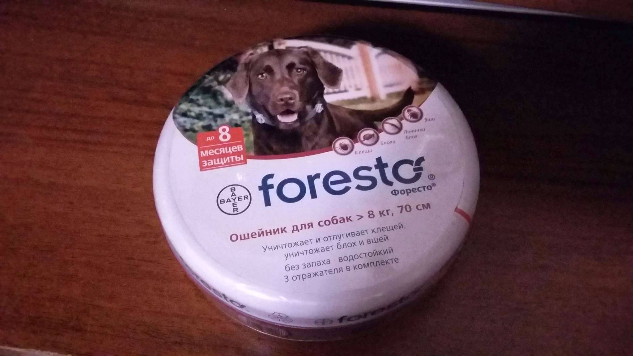 Ошейник bayer foresto для собак меньше 8 кг от клещей, блох и вшей, защита на 8 месяцев, 38 см в интернет магазине zooventa.ru