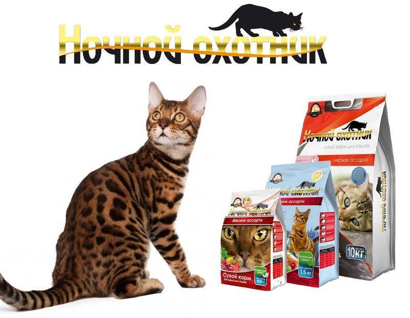 Флатазор для кошек: состав корма, виды