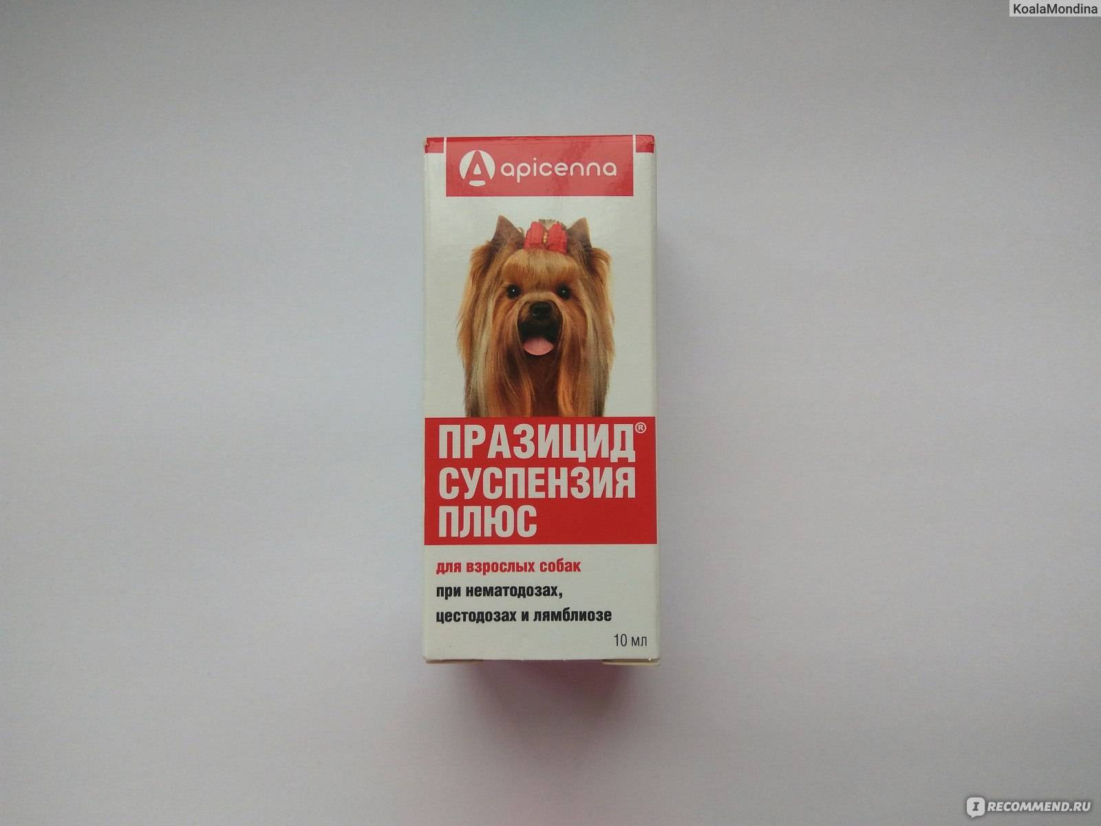 Празицид-суспензия плюс для собак, 10 мл, инструкция по применению