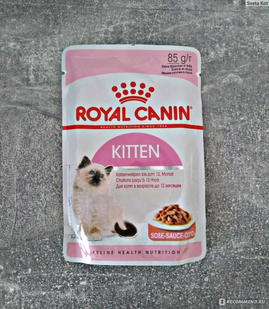 Royal canin корм для кошек: отзывы, где купить, состав