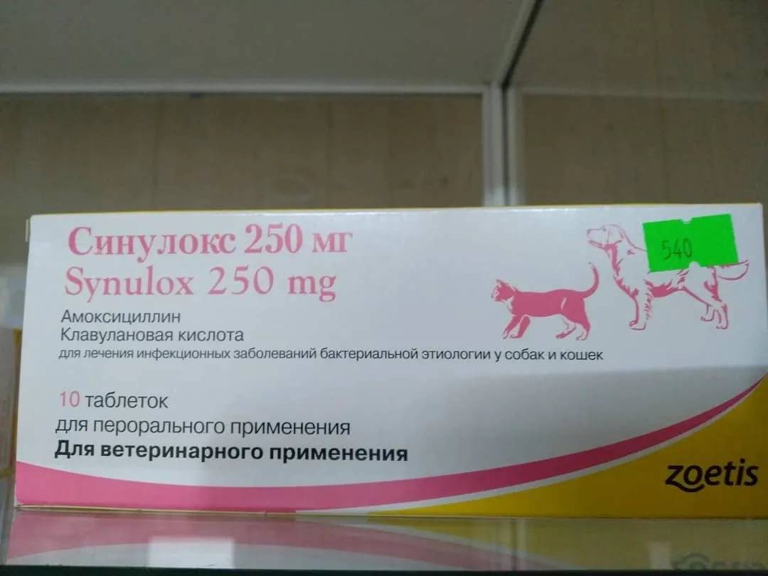 Антибактериальный препарат синулокс rtu, zoetis