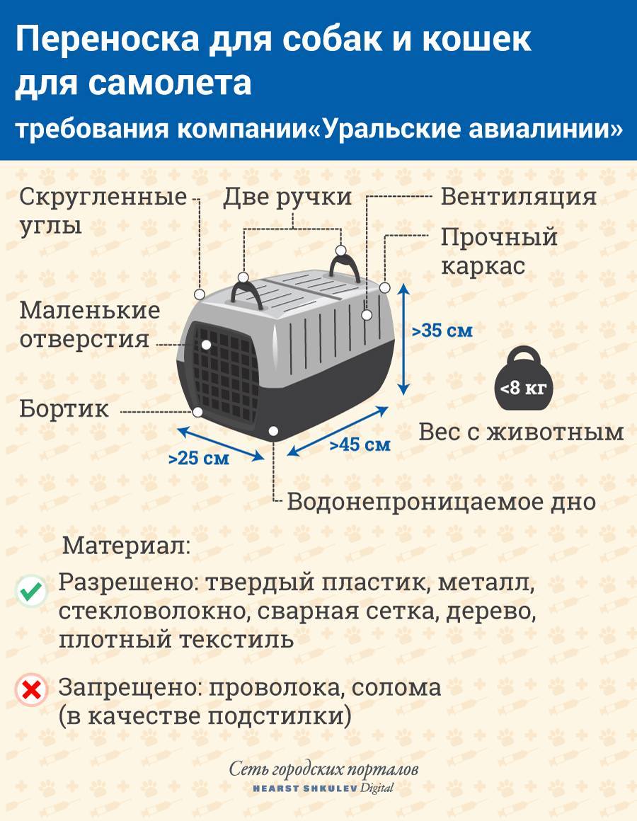 Габариты переноски для кошки в самолет Аэрофлот