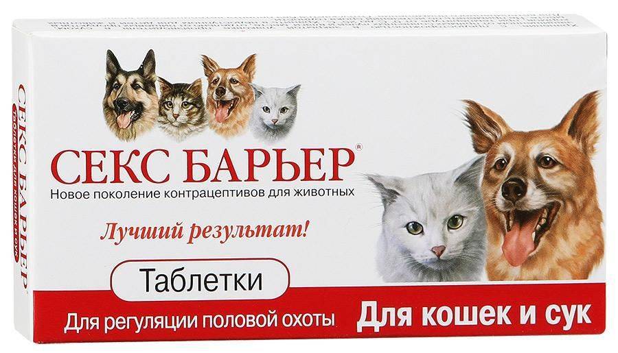 Капли, таблетки и другие средства для кошек во время течки - kotiko.ru