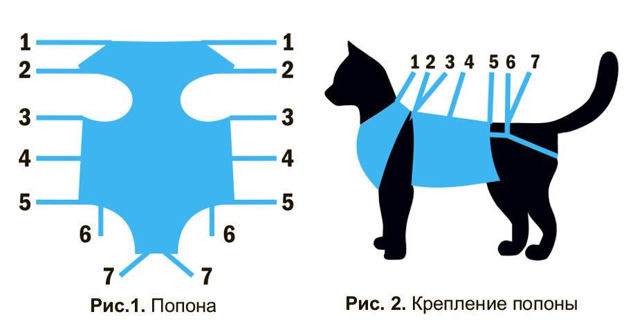 Попона для кошки своими руками после стерилизации