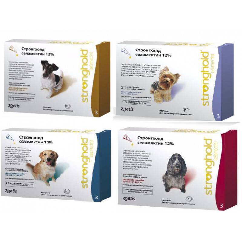 Стронгхолд для собак: инструкция по применению, отзывы ветеринаров и собаководов