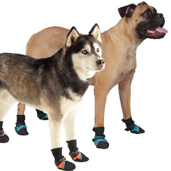 Топ 10 лучших вариантов ботинок для собак