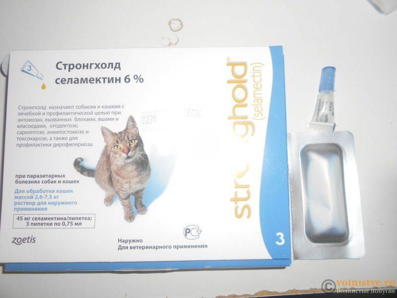 Стронгхолд для кошек: инструкция по применению и назначение препарата