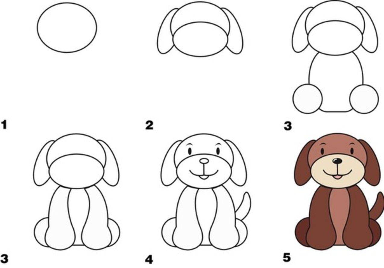 Как рисовать собак - wikihow