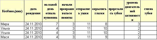 Как определить возраст котенка с улицы по внешнему виду фото пошагово в домашних условиях