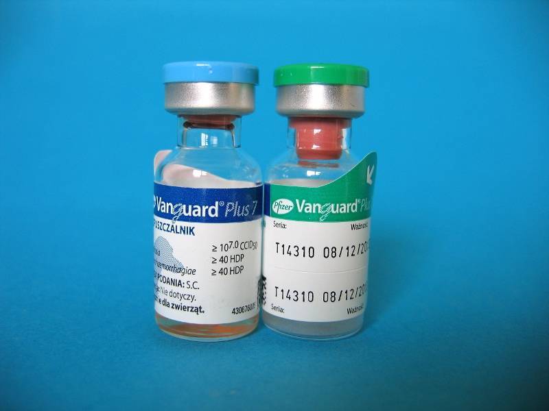 Вангард |  вакцина вангард