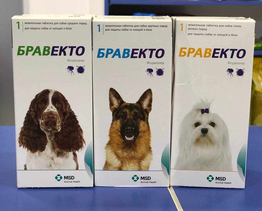 Прививки против клещей для собак описание, механизм действия, виды вакцин, эффективность