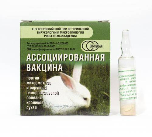 Прививки кроликам какие и когда делать, вакцина от миксоматоза и вгбк инструкция
