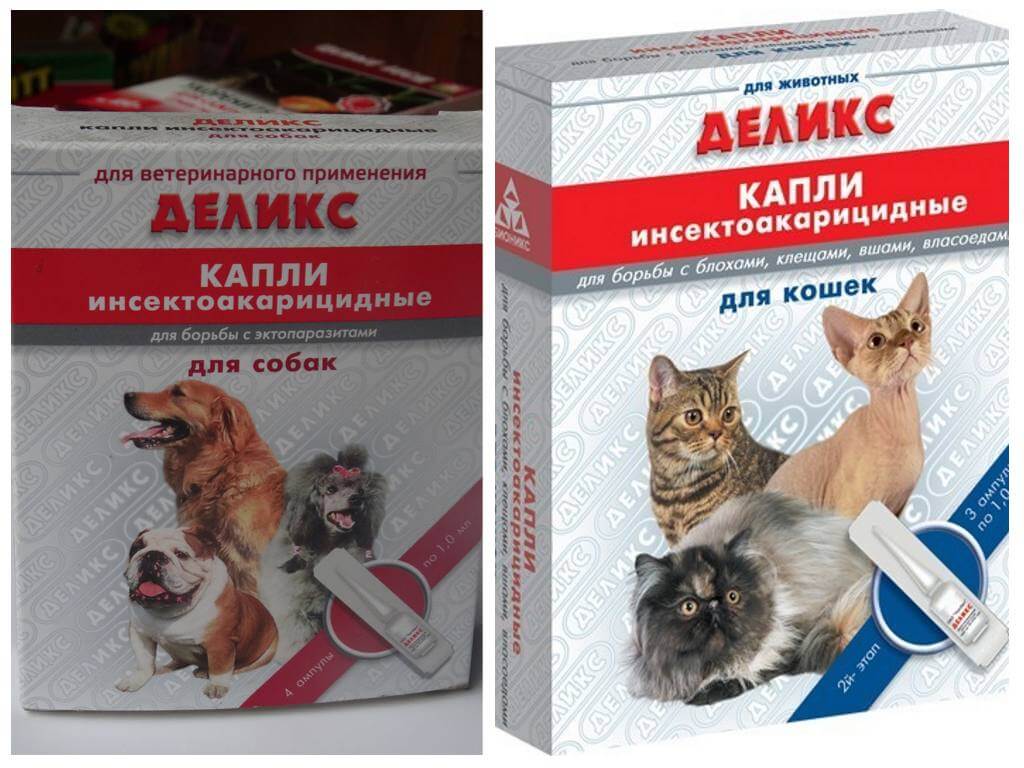 Деликс капли для кошек и собак - инструкция по применению и отзывы
