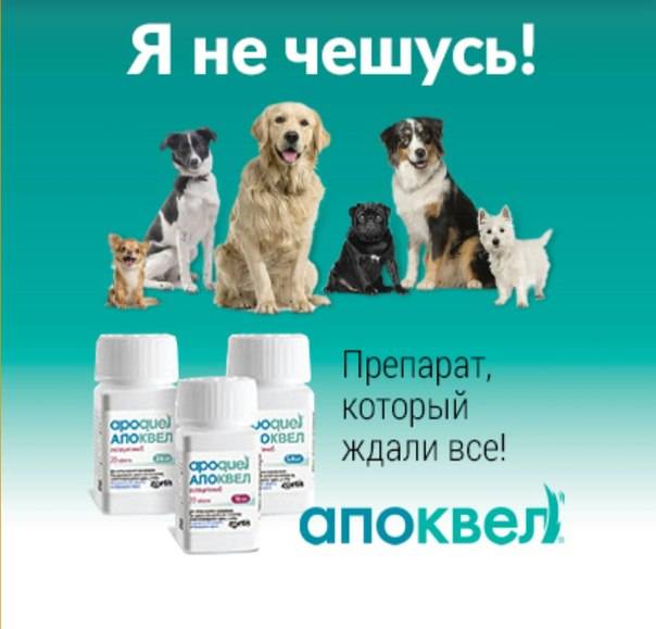 Энтерозоо (enterozoo) — инструкция по применению, состав и дозировка для собак, кошек и других животных