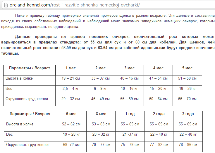 Рост овчарки по месяцам с фото