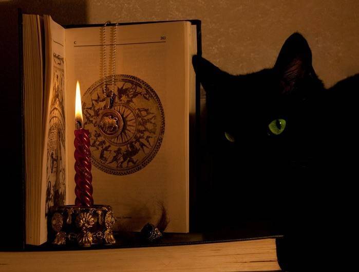 Таинственная кошка: мистические особенности очаровательных мурлык