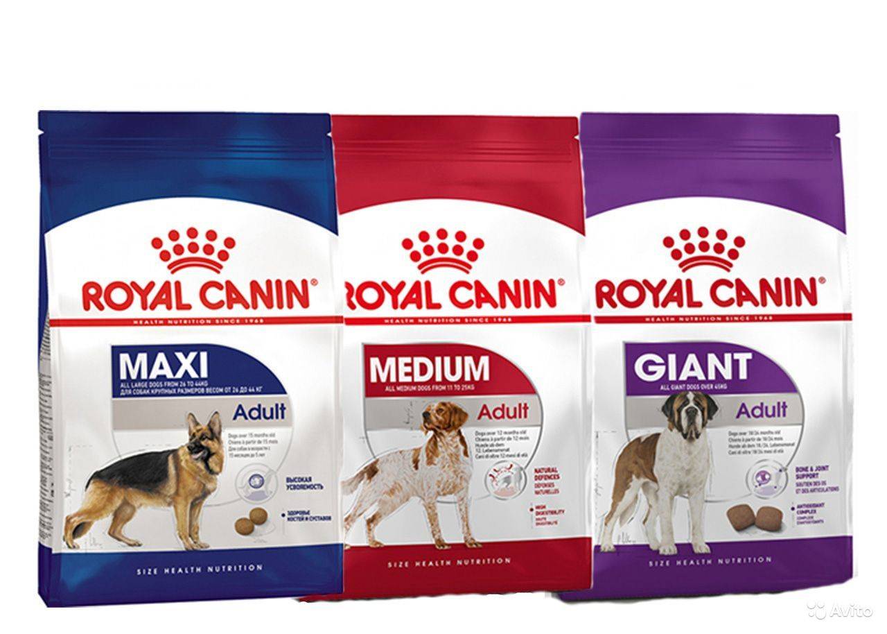 Состав гипоаллергенных кормов от фирмы royal canin для всех пород собак