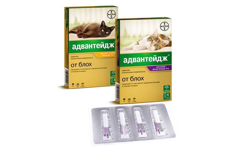 Адвантикс для собак – достоинства и недостатки препарата | признаки, лечение и диагностика вгкб № 2