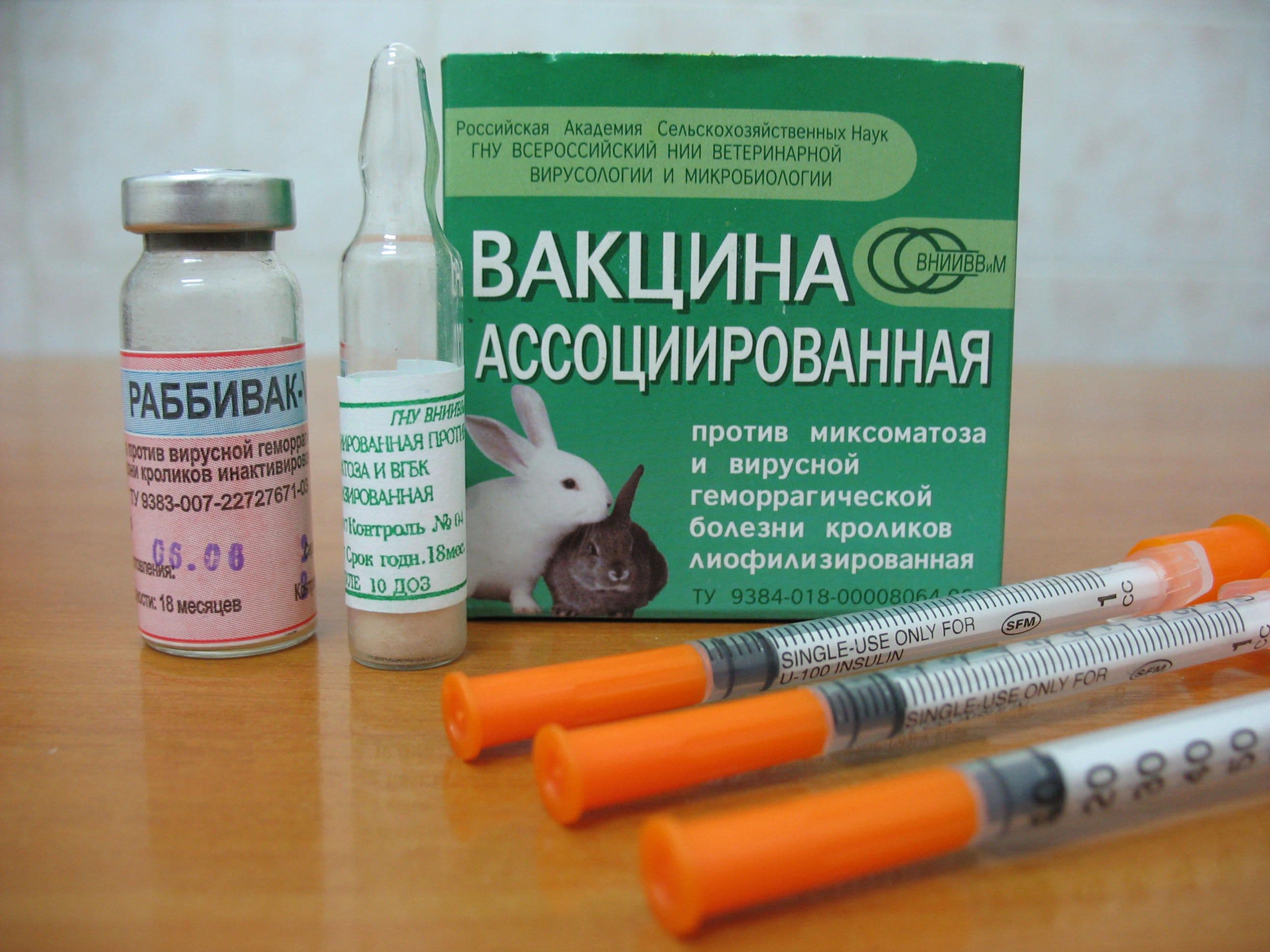 Прививка купить вакцину. ВГБК вакцина для кроликов. Вакцина ВГБК+миксоматоз ассоциированная сухая. Вакцина против миксоматоза кроликов сухая. Миксоматоз кроликов вакцинация.