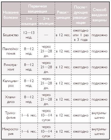 Можно ли собакам гулять после прививки: особенности вакцинации щенков и взрослых псов