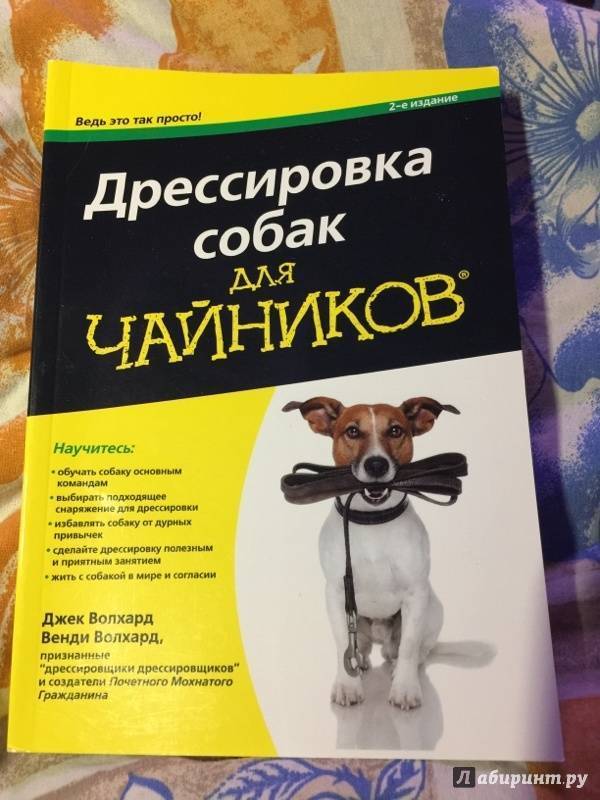 Как дрессировать щенка в домашних условиях — pet-mir.ru